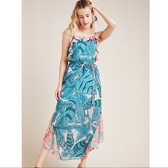 Anthropologie Dresses & Skirts - Anthropologie Farm Rio Botanical Maxi Dress